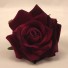 6 Luxury Burgundy Medium Velvet Roses