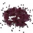 Babies Breath - 12 Stems - Burgundy