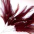 Burgundy Diamante Feathers