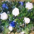 Ivory & Blue Rose Table Arrangement