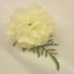 Cream Carnation Fern Buttonhole