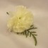 Ivory Carnation Fern Buttonhole