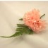 Peach Carnation Fern Buttonhole