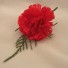 Red Carnation Fern Buttonhole