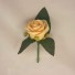 Single Gold Rose Buttonhole