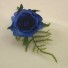Blue Rose Fern Buttonhole