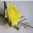 Yellow Carnation Fern Buttonhole