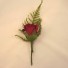 Red Rose Fern Buttonhole