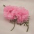 Double Pink Carnation Fern Buttonhole