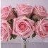 6 Luxury Pink Medium Roses