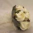White Ivory Rose Butterfly Children's Posy