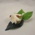 Single White Ivory Rose Buttonhole
