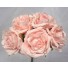 5 Luxury Open Light Pink Roses