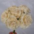 6 Luxury Wild Cream Roses