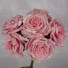 6 Luxury Wild Pink Roses