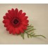 Red Gerbera Fern Buttonhole