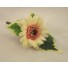 Cream Gerbera Buttonhole