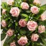 Pink Rose Diamante Shower Bouquet