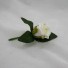 Single Ivory Rose Buttonhole