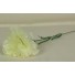 Cream Carnation Sample