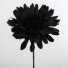 6 Silk Large Black Gerbera