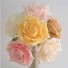 5 Luxury Open Cream Roses