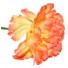 Orange Carnation Sample
