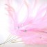 Pink Diamante Feathers 