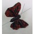 Red & Black Small Feather Butterflies